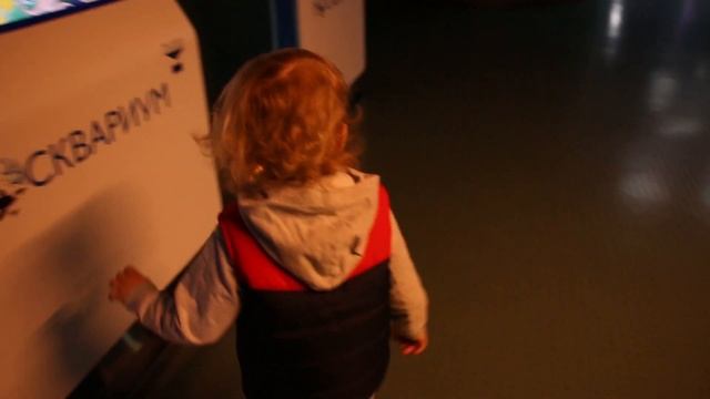 Москвариум. Московский зоопарк. Куда пойти с ребенком в Москве? смотреть онлайн