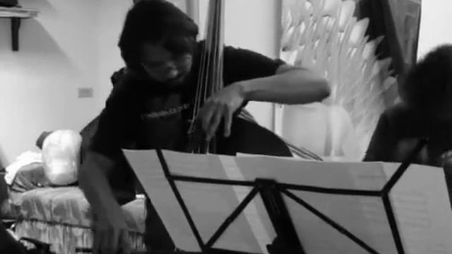 trios de fagot y contrabajos con percusion.wmv смотреть онлайн