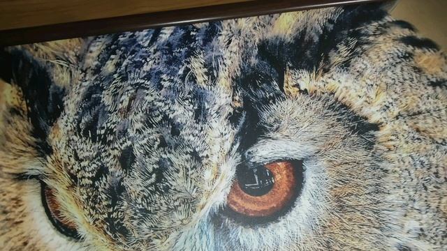 Led-картина Сова смотреть онлайн