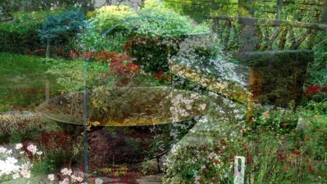 Зонирование. Ландшафтный дизайн своими руками. Основные зоны. Идеи для вдохновения смотреть онлайн