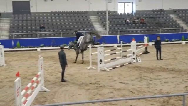 Hengste Intro Team Baum смотреть онлайн