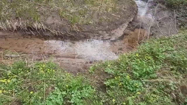 Большой крест! Поиски по лесам. находки не убавляются. смотреть онлайн