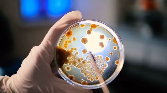 Вымирание Женщин! Candida Auris! tera смотреть онлайн