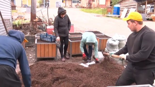 Туя. Экзотика Севера смотреть онлайн