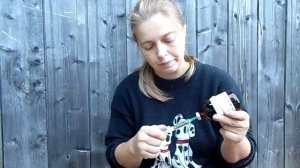 Прививка поросятам