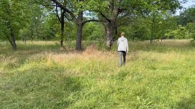 Обзор - Тест Беспроводная петличка Wireless Microphone смотреть онлайн