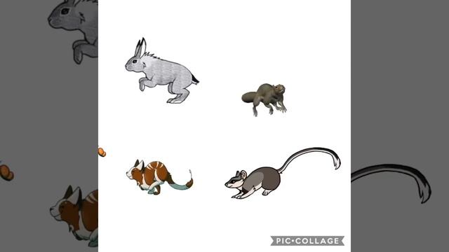 4 Animal Footsteps Running Sound Effects смотреть онлайн