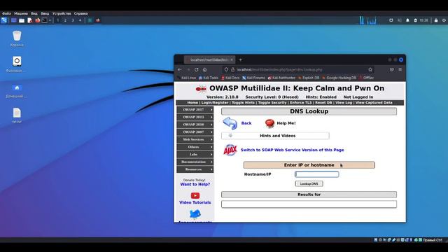 OWASP Mutillidae DSN Lookup XSS инъекции