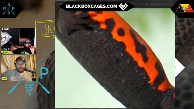 Snakes & Stogies Ep. 182 смотреть онлайн