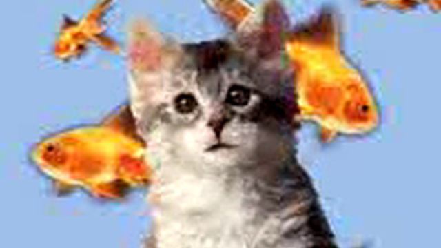 Котенок,,В,, смотреть онлайн