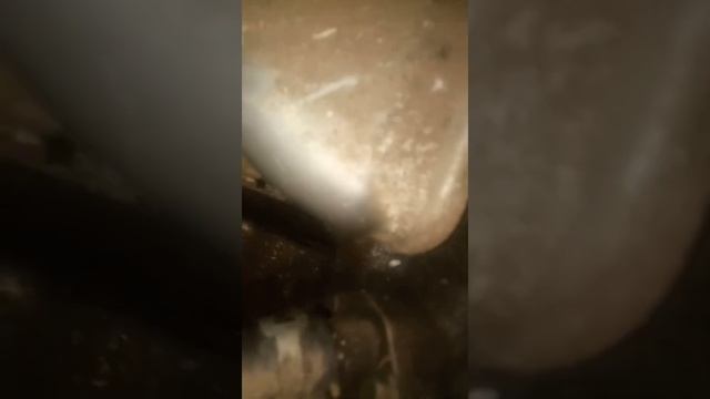 Где находится номер номер двигателя на 5а Карина АТ 170 смотреть онлайн