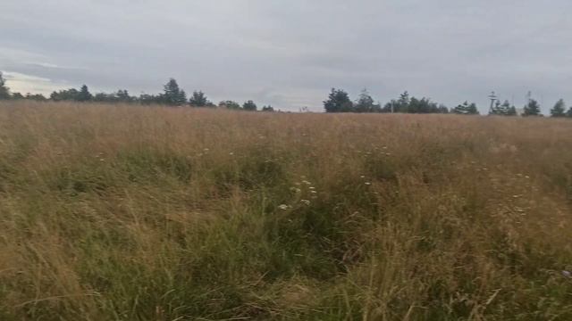 Андома гора.Вологодский край смотреть онлайн
