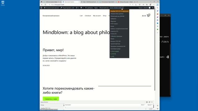 Кеширование запросов в базу данных (объектный кеш) WordPress при помощи Redis смотреть онлайн