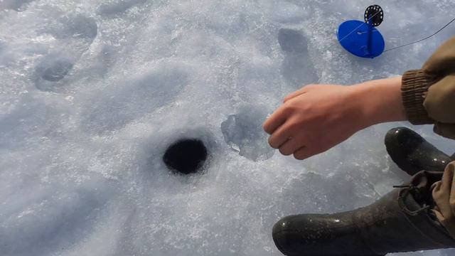 Рыбалка на жерлицы 2022 год смотреть онлайн