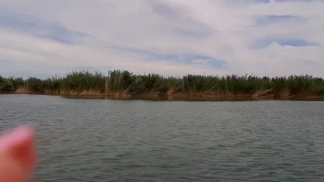 Рыбалка в дельте Или на сома/ амур/ змееголов/ смотреть онлайн