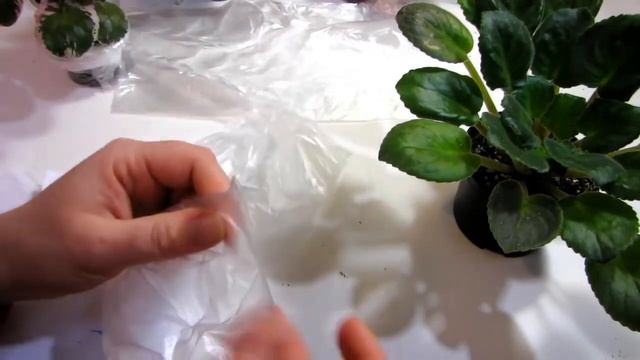 БЫСТРО!!! ДЕШЕВО!!! Делаем ПОДДОН для цветов!