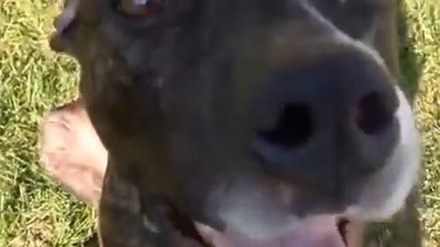 Nysa Plays with Kai, Part 2 смотреть онлайн