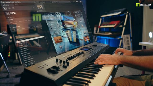 NATIVE INSTRUMENTS GIANT смотреть онлайн