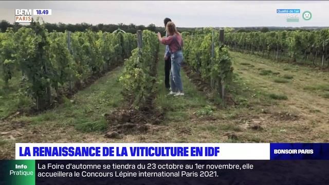 PLANETE LOCALE смотреть онлайн