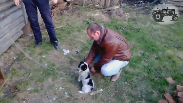 мега консультант))утро после шашлыкосов!!!давай поженимся!!! смотреть онлайн