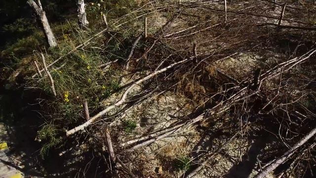 Самая западная точка России. Калининград. Песчаные дюны. смотреть онлайн