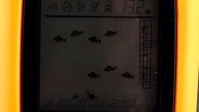 НЕДОРОГОЙ ЭХОЛОТ для зимней рыбалки из КИТАЯ и другие полезные вещи! смотреть онлайн