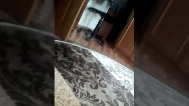 Как называются зайцы из 5 части фнаф смотреть онлайн