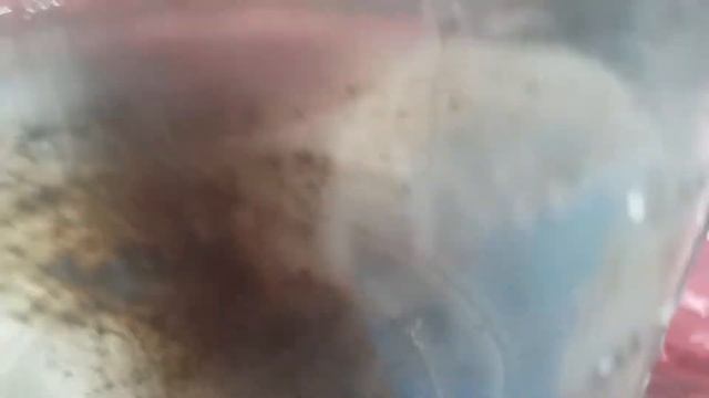 Как оживить фиалку.Почему у фиалки вянут листья. смотреть онлайн