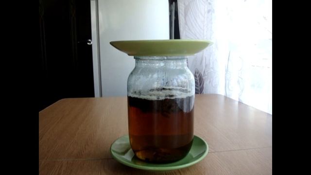 Ошибки при выращивании чайного гриба с нуля. смотреть онлайн