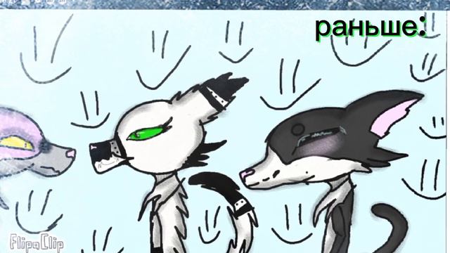 сколько у меня за три года подписчиков :)☕🌿 смотреть онлайн