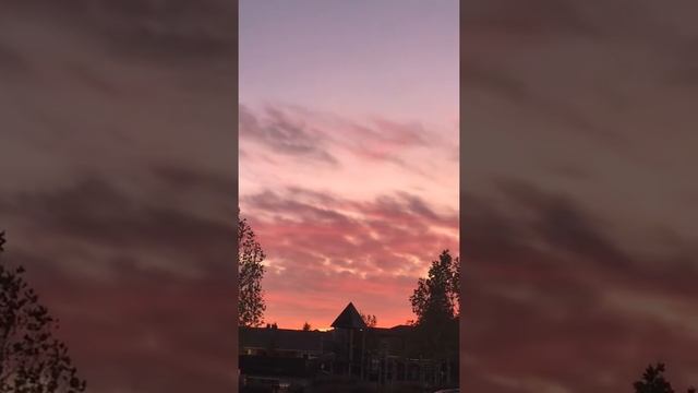 Розовое чудо смотреть онлайн