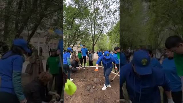 Акция педагогов "Подари розу школе" смотреть онлайн