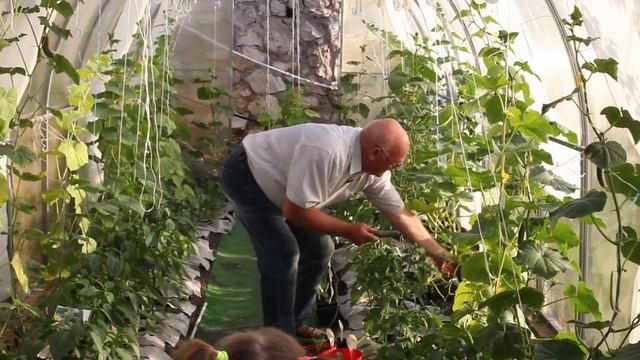 Опадают завязи? Гниют кабачки? Дачные сезоны с Мариной Рыкалиной смотреть онлайн