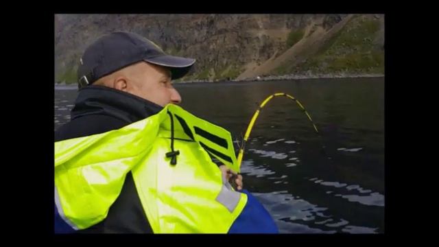 Norway fishing 2016 halibutt 100kg and sea wolfs/ cope Norvēģijā смотреть онлайн