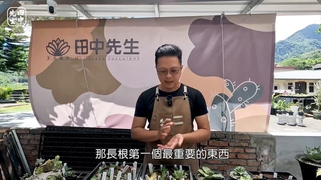 AGAVE系列｜龍舌蘭的胴切繁殖 смотреть онлайн