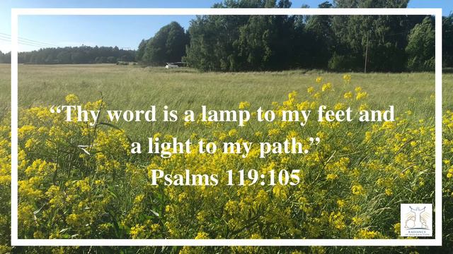 Declaration of the Word of God | 29th Jun 2022 | Psalms 119:105 смотреть онлайн