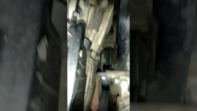 JETTA A3 1998 1.8 RUIDO EN BANDAS CUANDO EL MOTOR ESTA FRIO A CUALQUIER HORA смотреть онлайн
