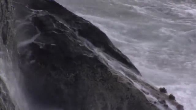 Royal Lankhorst Euronete Group Корпаративное видео о компании смотреть онлайн