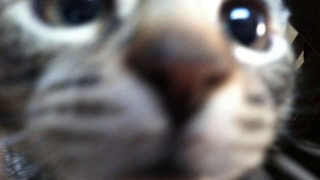 toby fox-fallen down(1.2x speed) смотреть онлайн