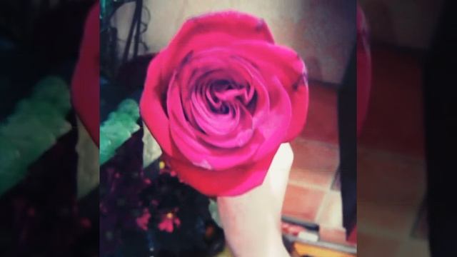 Клип на песню лалиты на тетанике смотреть онлайн