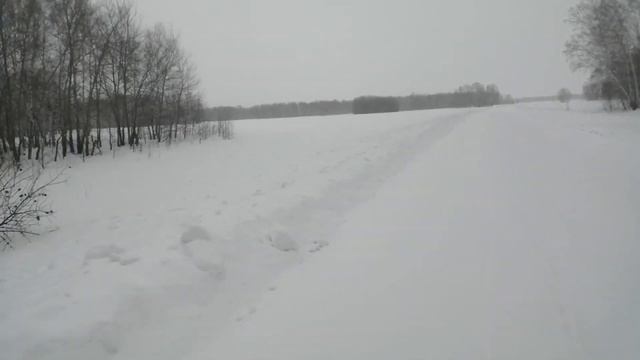 потеплело продолжаем чистить лес смотреть онлайн
