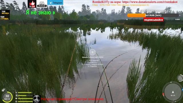 ?Русская рыбалка 4 ОЗЕРО МЕДВЕЖЬЕ (Пробуем поймать ЛИНЯ ЗОЛОТИСТОГО⭐️)? смотреть онлайн