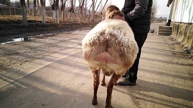 продаётся: вацапп +996552606044 тел +996559515162 смотреть онлайн