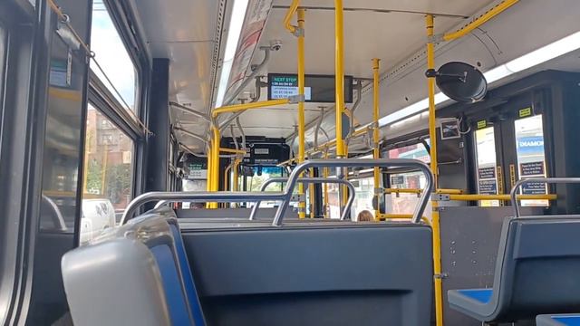 MTA Bus Route Q66: 2012 New Flyer C40LF #619 Ride смотреть онлайн