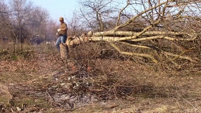 19_02_2020_Продолжаю продолжать.mp4 смотреть онлайн