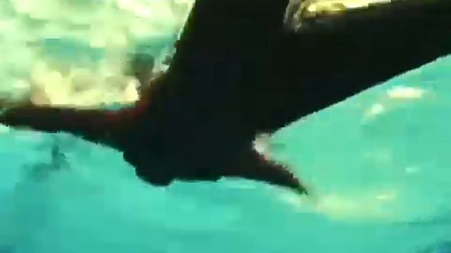 Видео инструктаж на воде 10 класс смотреть онлайн