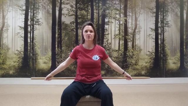 Цигун с палкой для начинающих 1 часть смотреть онлайн