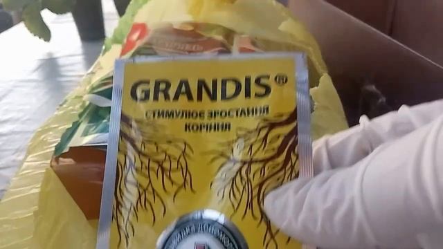 РАЗОЧАРОВАНИЕ! Распаковка посылки от интернет-магазина Фазенда. Обзор препаратов смотреть онлайн