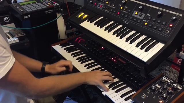 Prophet 08 and Moog Little Phatty Jam смотреть онлайн