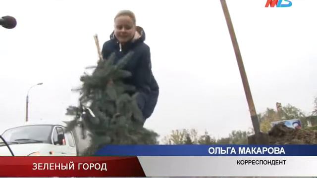 ЗЕЛЁНЫЙ ГОРОД смотреть онлайн